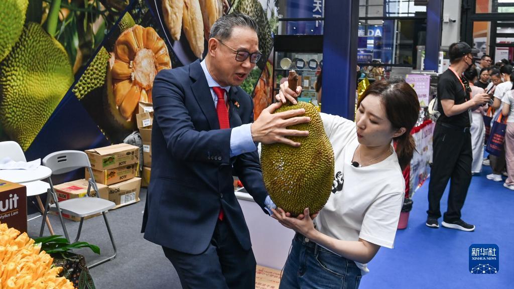 9zfby九州发布页